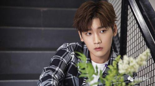 娱乐大爆料配音演员表名单,揭秘配音演员阵容，声临其境的幕后英雄  第2张