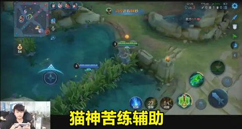 望月草最新爆料,揭秘娱乐圈惊天秘密 第3张 望月草最新爆料,揭秘娱乐圈惊天秘密 第3张