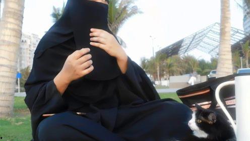 娱乐吃瓜君 网红是谁,网红背后的故事  第1张